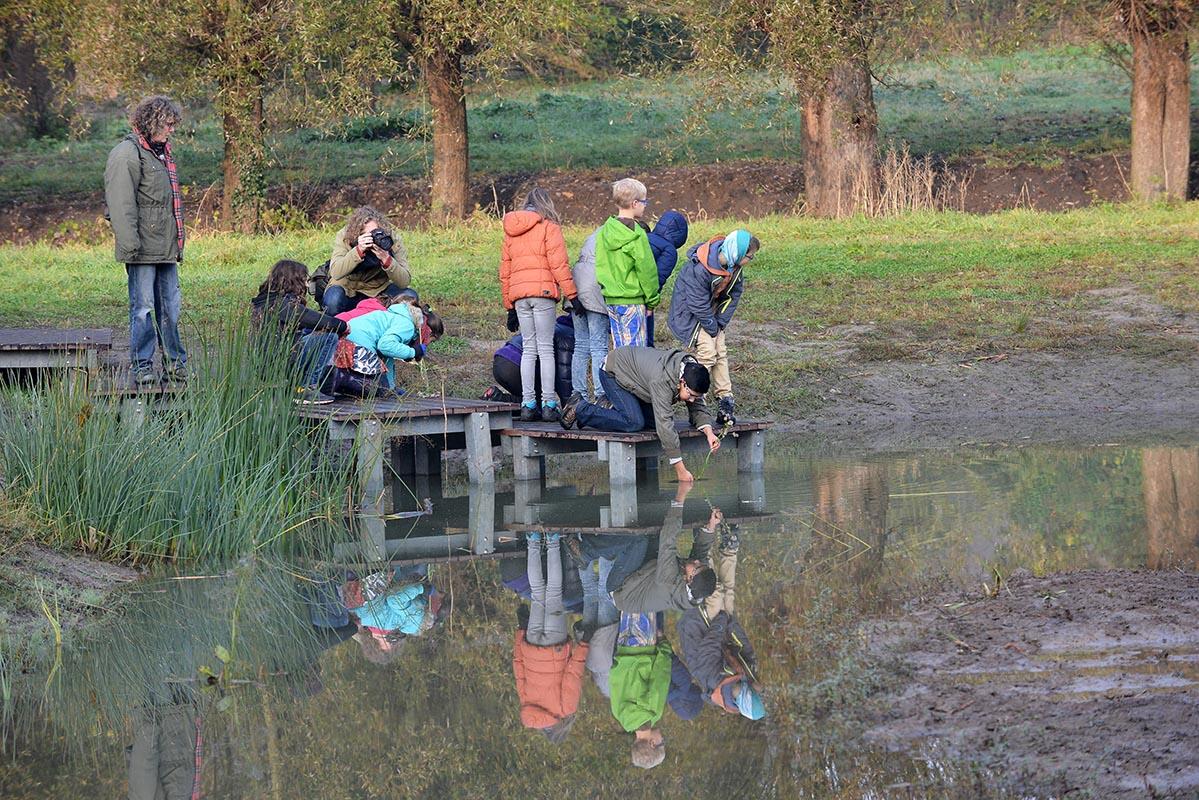 Schepvijver